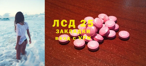 PSILOCYBIN Грязовец