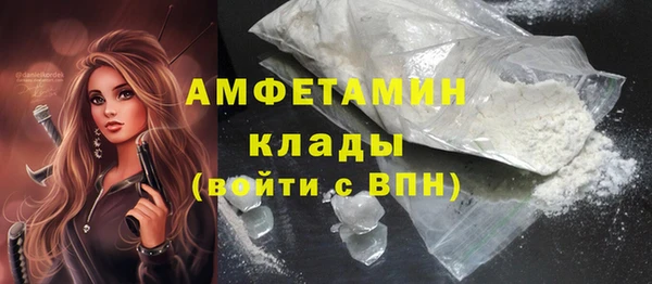 PSILOCYBIN Грязовец