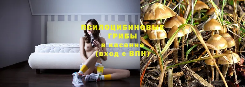 Псилоцибиновые грибы MAGIC MUSHROOMS  цена   Луховицы 