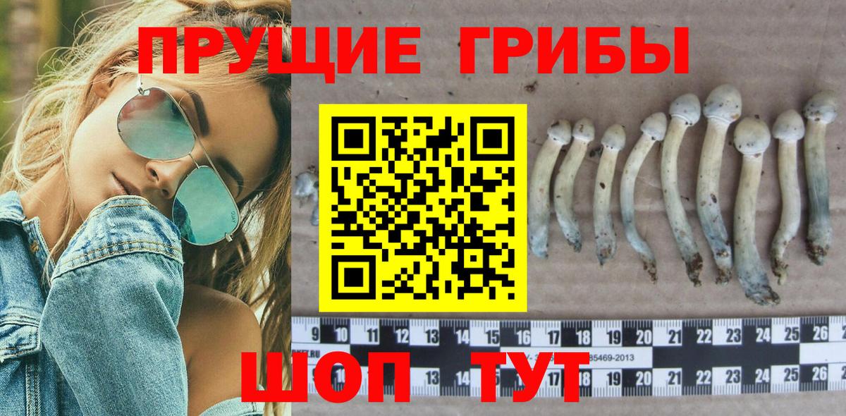 Псилоцибиновые грибы Magic Shrooms Луховицы