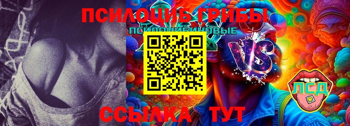 Галлюциногенные грибы GOLDEN TEACHER  Вход с VPN  Луховицы 
