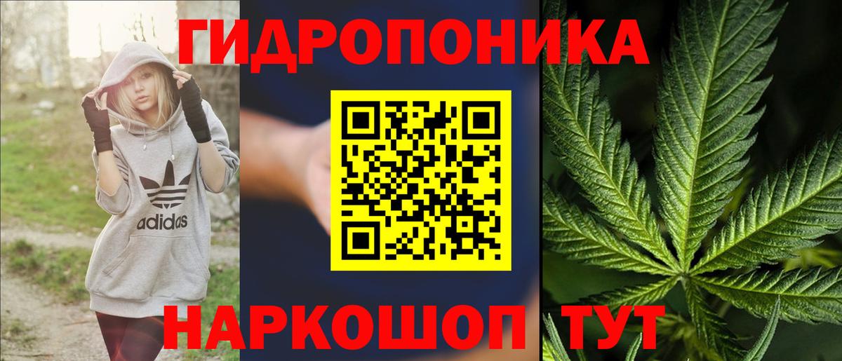 Конопля семена  Канабис индика  Марихуана индика  Луховицы 